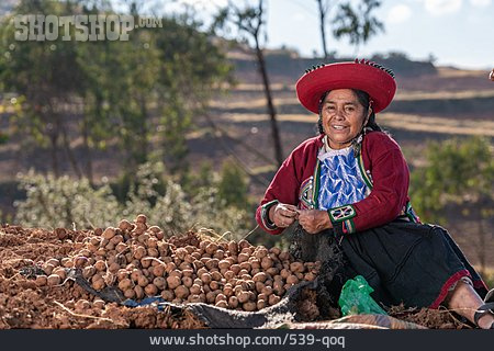 
                Ernte, Südamerika, Traditionell, Bäuerin, Indigen                   