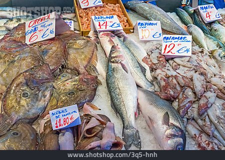 
                Fisch, Fischmarkt, Speisefisch                   