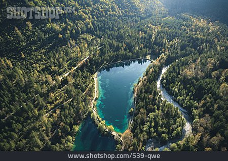
                Wald, österreich, Drohnenflug                   