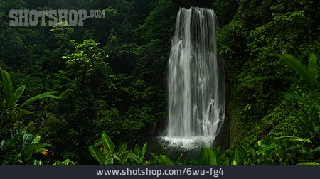 
                Wasserfall, Regenwald                   