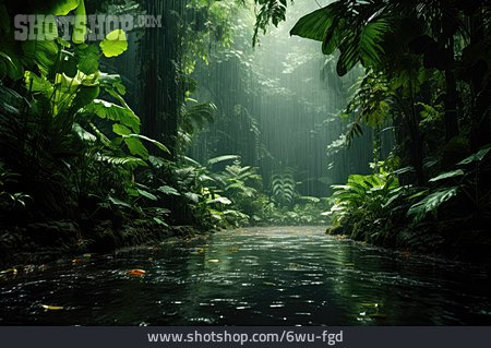 
                Dschungel, Regenwald, Tropenwald                   