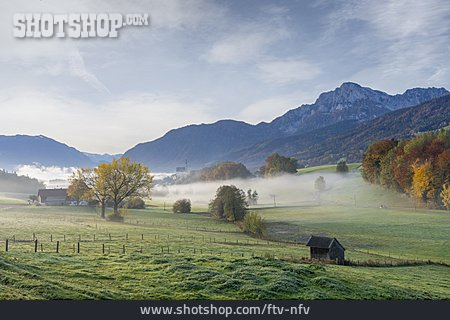 
                Herbst, Nebel, Berchtesgadener Land, Chiemgauer Alpen                   