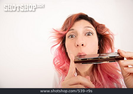 
                Musikinstrument, Mundharmonika                   