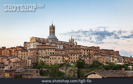 
                Altstadt, Siena, Dom Von Siena                   