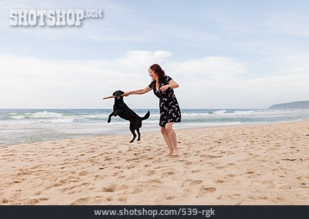 
                Hund, Urlaub, Strandurlaub, Auslauf                   