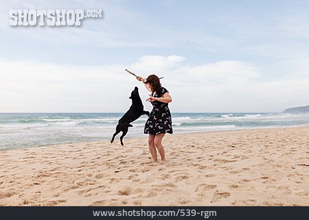 
                Strand, Hund, Urlaub, Luftsprung                   