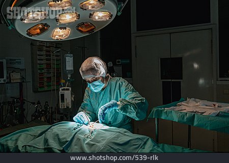
                Operationssaal, Operieren, Tierärztin                   