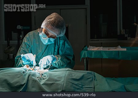 
                Operationssaal, Operieren, Tierklinik                   