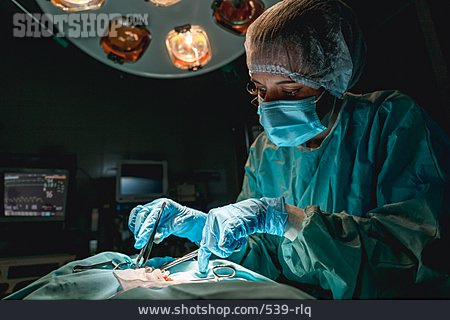 
                Operationssaal, Operieren, Tierärztin                   