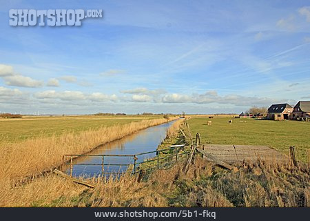 
                Kanal, Nordfriesland, Marschland                   