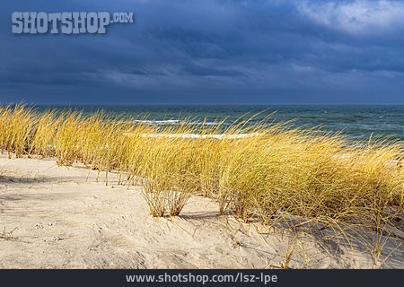 
                Strand, Ostsee, Regenwolken, Düne                   