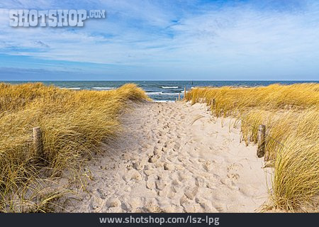 
                Ostsee, Düne, Strandzugang                   