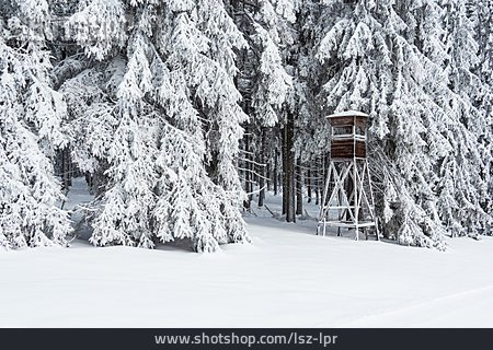 
                Wald, Winter, Hochsitz                   
