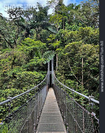 
                Hängebrücke, Monteverde                   