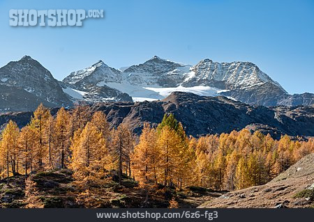 
                Herbstfärbung, Schweizer Alpen                   