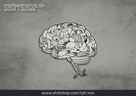 
                Wissen, Gehirn, Prozess                   