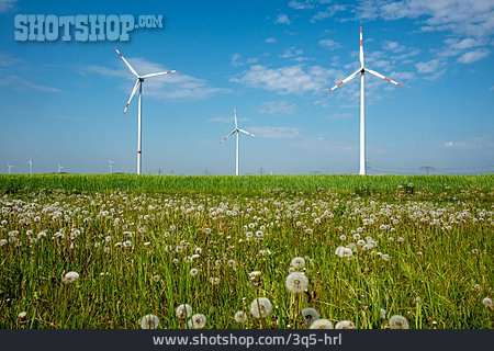
                Windenergie, Windkraft                   