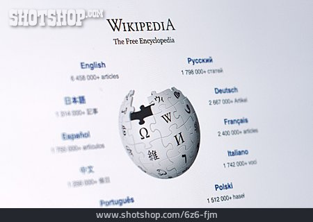 
                Wikipedia                   