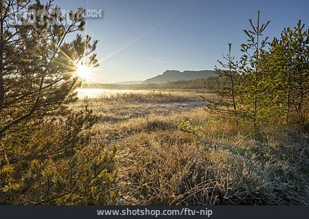 
                Sonnenaufgang, Moorsee, Ainringer Moos                   