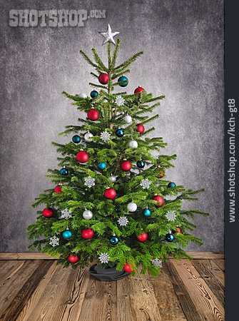 
                Weihnachten, Weihnachtsbaum, Christbaum                   