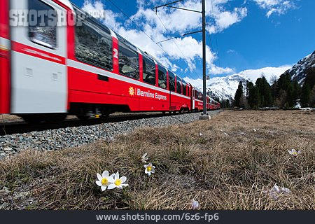 
                Bernina Express                   