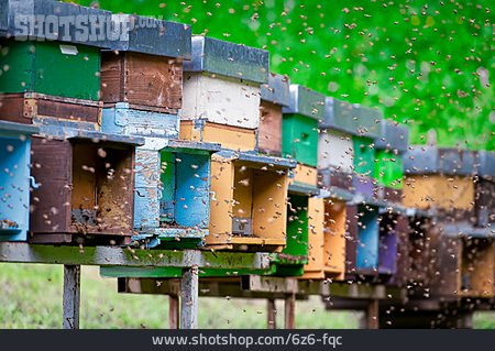 
                Bienenstock, Bienenkasten                   