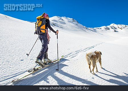 
                Hund, Wintersport, Skiwanderung                   