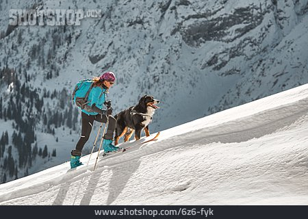 
                Hund, Schneewanderung, Skiwanderung                   