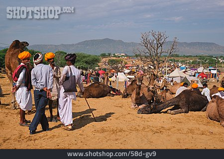 
                Pushkar Camel Fair, Pushkar Fair, Pushkar-messe                   