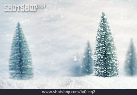 
                Winter, Schnee, Tannenbaum                   