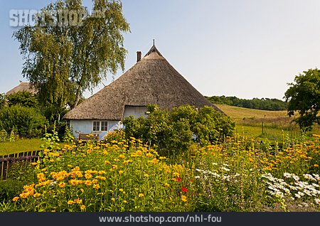 
                Bauernhaus, Reetdach, Blumengarten                   