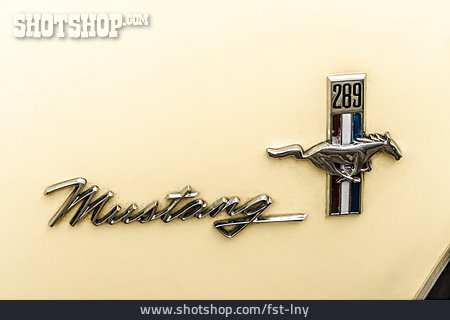 
                Ford Mustang, Ford Mustang 289                   