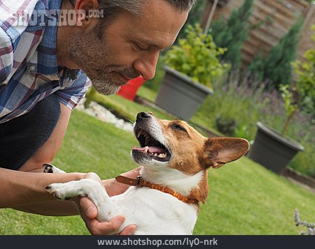 
                Jack Russell Terrier, Streicheln, Hundebesitzer                   