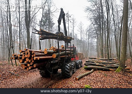 
                Forstwirtschaft, Holztransporter                   