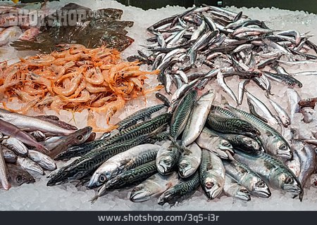 
                Fisch, Meeresfrüchte, Frischer Fisch                   