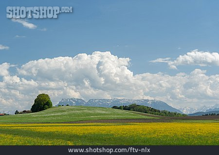 
                Berchtesgadener Land, Haarmoos, Streuwiese                   