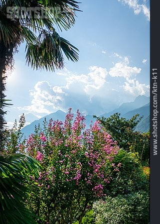 
                Vegetation, Trentino-südtirol                   