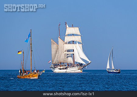 
                Segelschiff, Hanse Sail                   