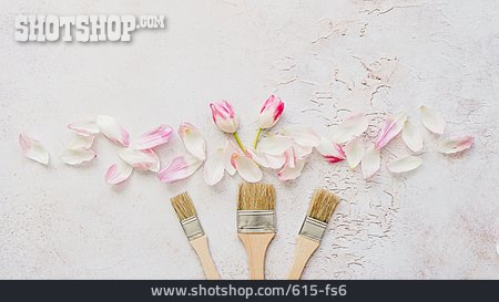
                Malerpinsel, Pastellfarben, Farbanstrich                   