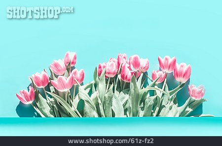 
                Tulpenstrauß, Tulpen                   