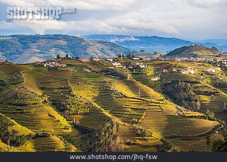 
                Weinbau, Douro-tal                   