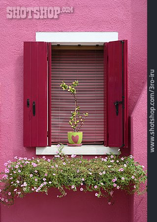 
                Pink, Fensterladen, Burano                   