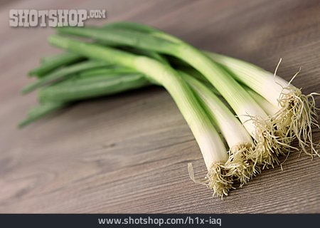 
                Spring Onion                   
