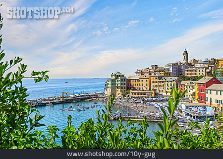 
                Ligurien, Bogliasco                   