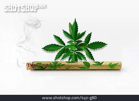 
                Joint, Cannabis, Hanf                   
