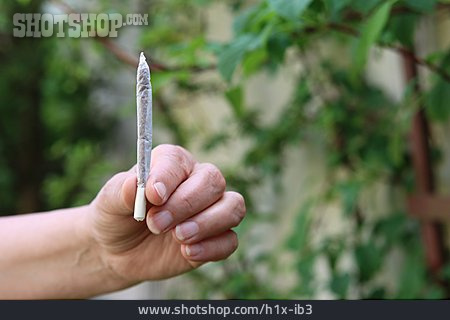 
                Joint, Cannabis, Kiffen                   