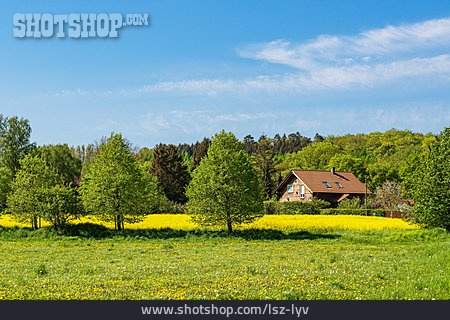 
                Ländlich, Frühling, Parkentin                   