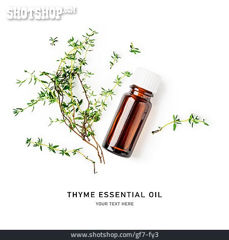 
                Thymian, ätherisches öl, Thyme Essential Oil                   