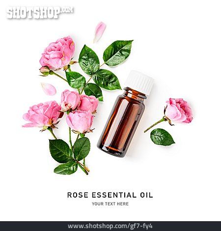 
                Rose, ätherisches öl, Rose Essential Oil                   