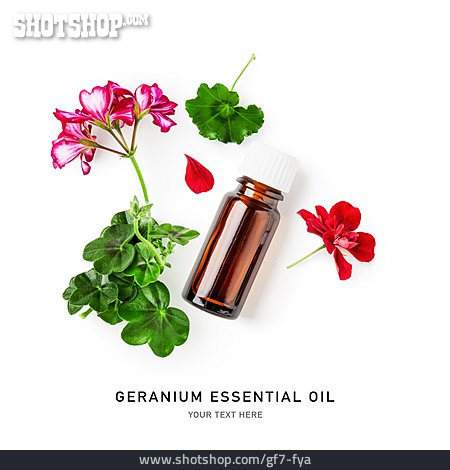 
                Geranie, ätherisches öl, Geranium Essential Oil                   